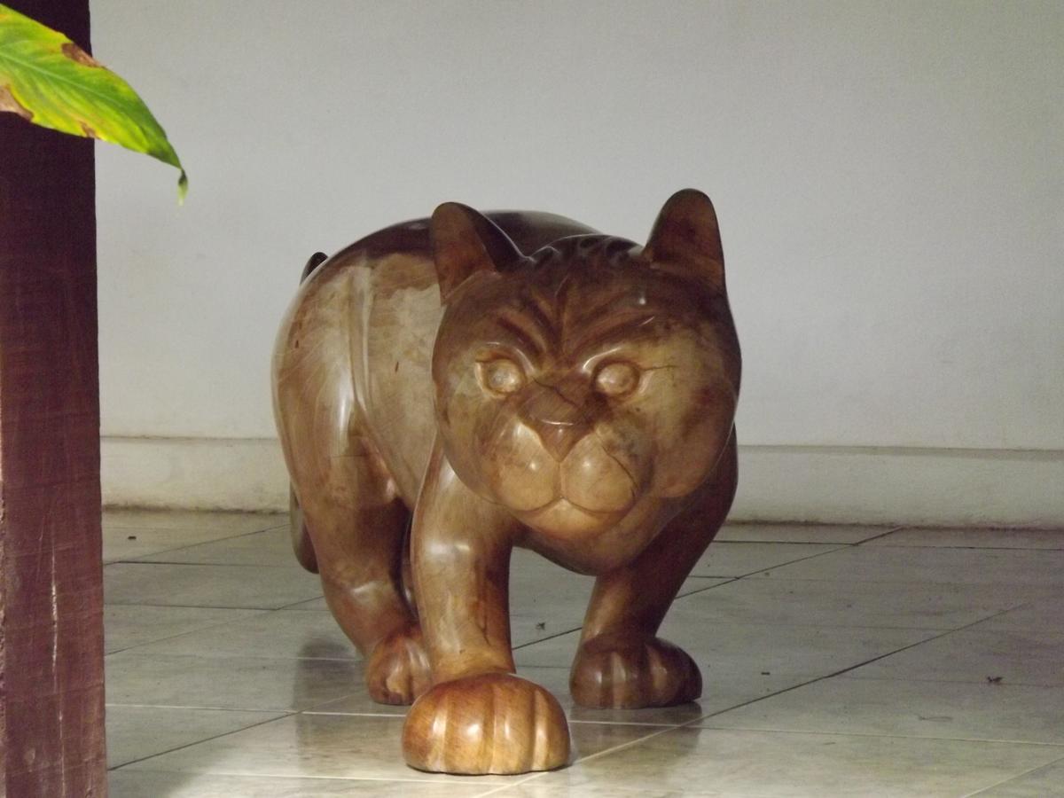 Pousada Catavento Сакуарема Екстериор снимка
